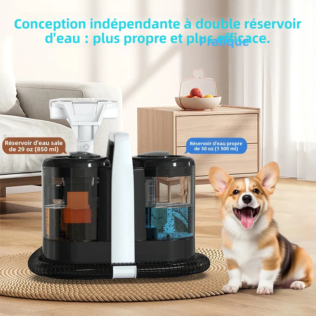 Shampouineuse portable 600 W pour tapis et canapé - La vie facile